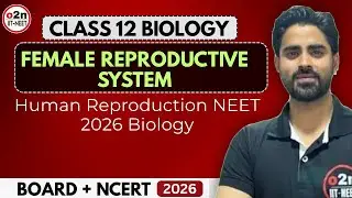 Female Reproductive System Class 12 NCERT | Human Reproduction NEET 2026 Biology