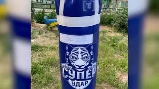Young thieves return punching bag to playground