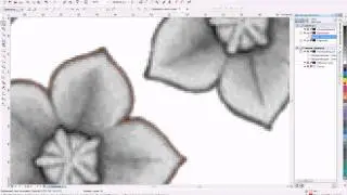 Ручная трассировка в CorelDraw