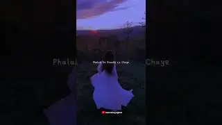 devil editing official WhatsApp status// #trending #youtubeshorts #shortsfeed #copyrightfree