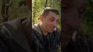 #металлокоп , немного отдыха после копа🤔