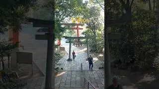 Walking Tokyo - Setagaya Hachimangu Shrine to Kyodo | 世田谷八幡宮から経堂へ #walking #tokyo #japan #shorts