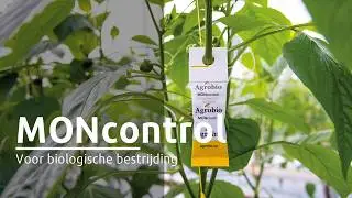 MONcontrol voor biologische bestrijding | Royal Brinkman