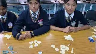 Making of Corn Husk Button Flower# Vikshit Bharat Buildathon.