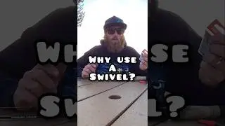 Why fish with a swivel? 🐟 #fishing #beginnerfishing #learntofish
