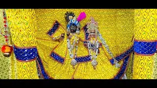 आप देख रहे हैं श्री कुंज बिहारी जू भगवान् शयन आरती दर्शन