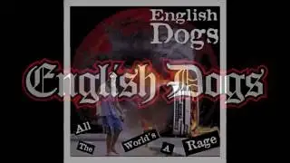 English Dogs - 