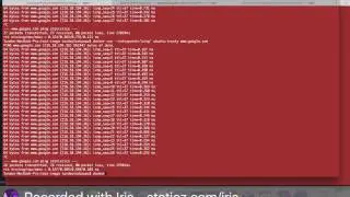 Docker: ENTRYPOINT