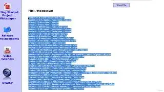 002 Accessing passwd With BAC