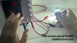 CB10 Canbus Small LED Bulb