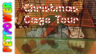 The Gerbils Christmas Cage Tour!