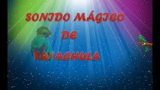 Sonido Mágico De Hugo Morales - Popurrí (agüita de coco)