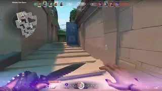 Outplayed Enemies as Reyna (Valorant)