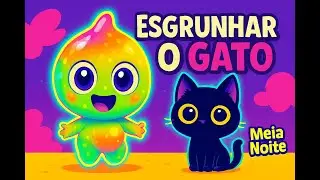 Esgrunhar o Gato | Conhe&ccedil;a o Meia Noite, o gatinho fofo do Tchucol&atilde;o