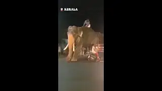 Funny videos| #shorts #mahafuntv | prank video #busyfFunLtd #funnyshorts