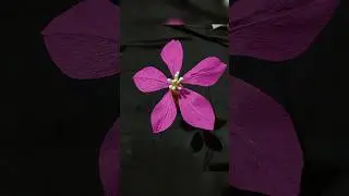 make a realistic flower from crepe paper.. #craft #diy #howtomakeflower #creative #art