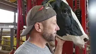 Double Sole vs. Sole Separation on HOOF