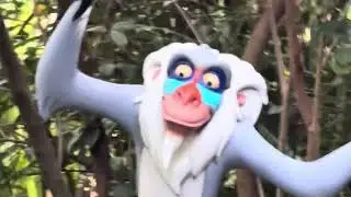 Hidden Area in Animal Kingdom? Rafiki&rsquo;s Planet Watch Tour
