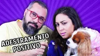 O SEGREDO DO ADESTRAMENTO POSITIVO com Bruno Leite