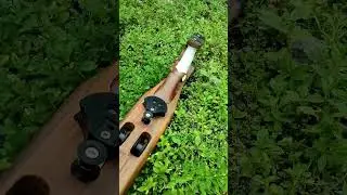 Arnesh speargun Roller Inverter #speargun #spearfishing #shorts