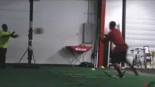Elite Sports Performance