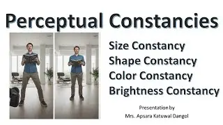 Perceptual Constancies and its types (Size, Shape, Color, and Brightness Constancy)