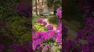 Capri - Gardens of Augustus