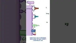 Clinical Cuts: Complement system