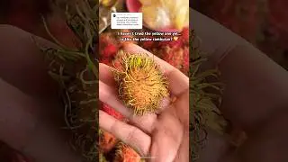 Is this the yellow rambutan or just not ripe!! Hahaha 😂 #fypviralシ