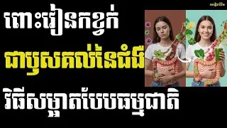 ពោះវៀនកខ្វក់ ឫសគល់នៃជំងឺជាច្រើន - រោគសញ្ញា ផលវិបាក និងវិធីសម្អាតពោះវៀនតាមបែបធម្មជាតិ | មេរៀនជីវិត