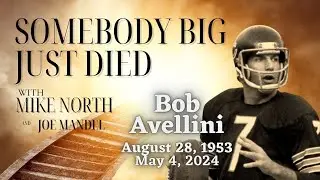 Somebody Big Just Died | Bob Avellini