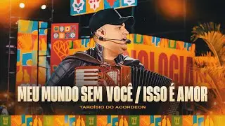 MEU MUNDO SEM VOCÊ / ISSO É AMOR - Tarcísio do Acordeon (Tarcisiologia)