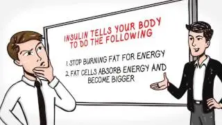 Fat Storage Hormone