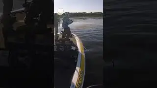 #Punching for Big #Bass in Grass!