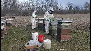 Michigan Honey Bees Spring Supplemental Feed Day 2