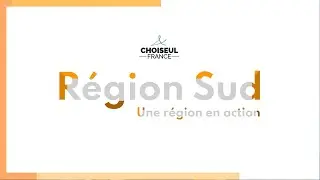 Attractivit&eacute; internationale de la R&eacute;gion Sud - Club Choiseul Sud