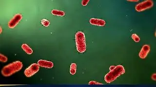 Scientists found the last universal common ancestor for all life on Earth