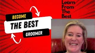 Best Dog Grooming Courses UK | Absolutely Animals