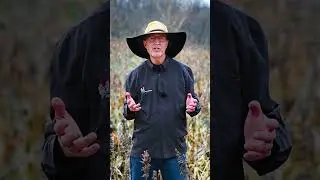 We need to inoculate legume seeds