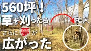 #2 笹と竹で覆われた1861㎡！総集編ではないのに一気に刈ります！/廃鶏からウチの子になったニワトリたち♡/白身魚の甘酢あんかけ