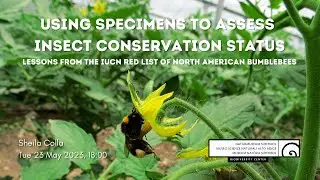 Using Specimens to Assess Insect Conservation Status