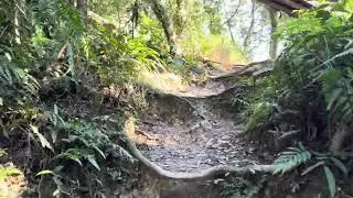 草湳上二格山