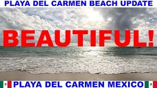 PLAYA  DEL CARMEN MEXICO BEACH AND SEAWEED UPDATE - BEACHES ARE BEAUTIFUL