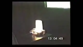 Twelve Tales: Conker 64 Dev Cart [not 'Rare N64DEV V3']