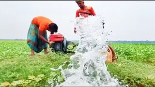 mechanism starting dieail system water pump shots which work well Minister earlier early village24
