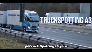 Truckspotting at A3/Groot Zevert, -Van Loon-, Zandbergen, Schmitt & S&ouml;hne| Horns and Lights|Part #19