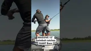 Massive 15&rdquo; Swimbait Catches GIANT Fish!