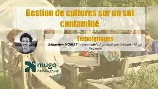 [Forum technique 2025] Culture sur sol contaminé | Témoignages