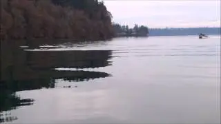 Close encounter with Orca whales.