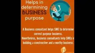 Why every SME should have a business consultant?